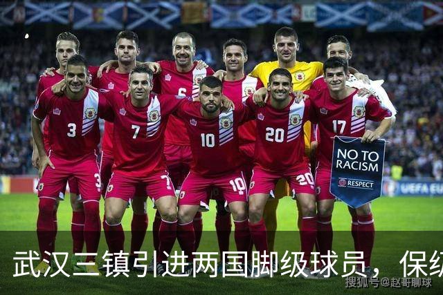 武汉三镇引进两国脚级球员，保级前景乐观